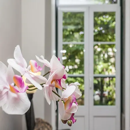 Praca Das Flores Apartment *