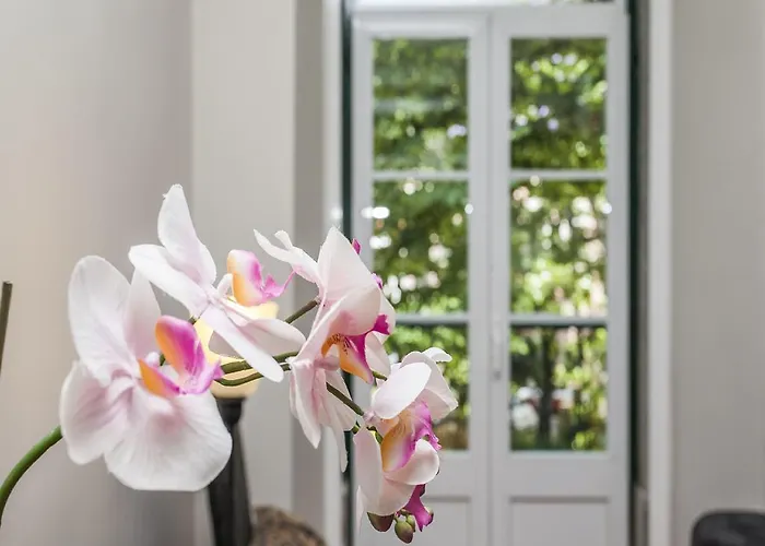 Praça Flores Appartement *